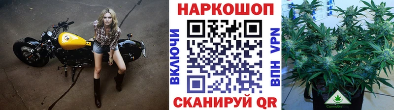 Купить наркотики цена Каргат Alpha PVP Мефедрон Псилоцибиновые грибы NBOMe ГАШ
