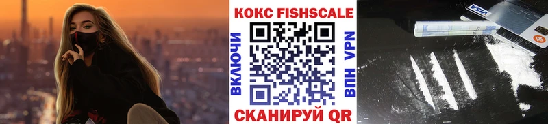 закладки  мориарти клад  КОКАИН Эквадор  Каргат 