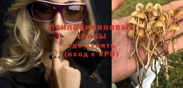 твердый Балабаново