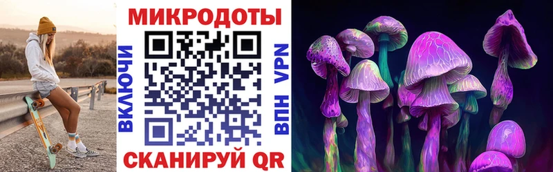Галлюциногенные грибы ЛСД Каргат
